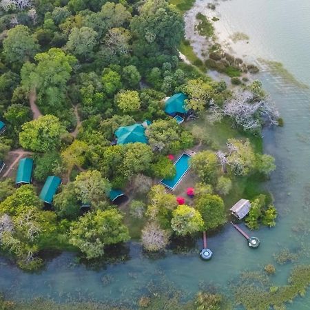Flameback Eco Lodge Тиссамахарама Экстерьер фото
